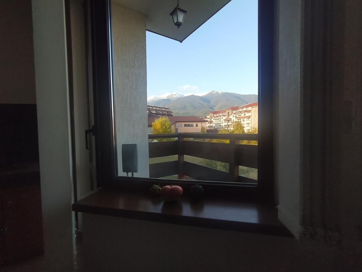 Pine Tree Studio B11 Bansko Esterno foto