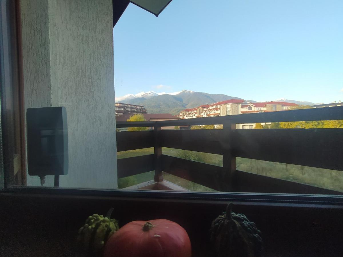Pine Tree Studio B11 Bansko Esterno foto
